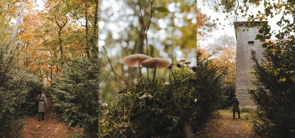 Landgoed de Bedelaar