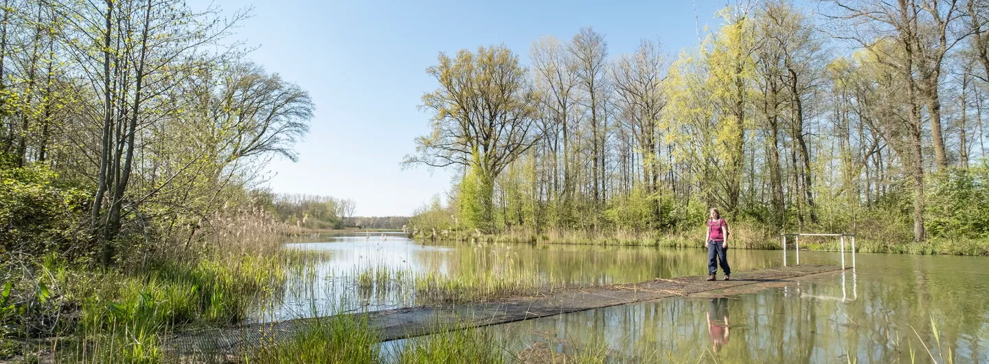 Boswachter Ellen loopt over een vlonder in natuurgebied 't sohr