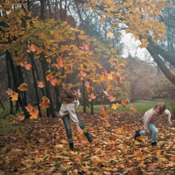 Het wonder van Roermond kinderen spelen met herfstbladeren