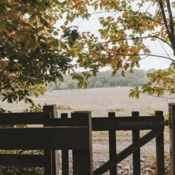 Landgoed de Bedelaar