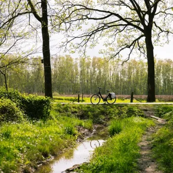 Fiets langs een beekje in een groen bosrijk landschap.