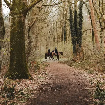 Twee ruiters die via de routeplanner van Hart van Limburg een route hebben gepland en nu op een ruiterpad tussen de kale bomen staan in het Leudal.