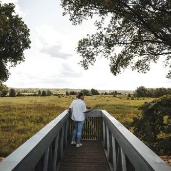 Wandelaar kijkt vanaf een houten uitkijkplatform uit over een uitgestrekt groen natuurgebied.