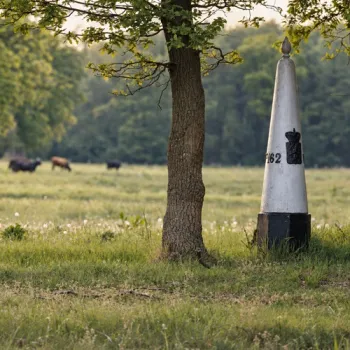 Grijze grenspaal met nummer 162 naast een boom in het Wijffelterbroek, met grazende runderen en bos op de achtergrond.